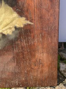 Foto 6